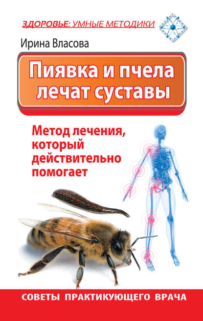 Пиявка и пчела лечат суставы. Метод лечения, который действительно помогает. Советы практикующего врача — Ирина Власова