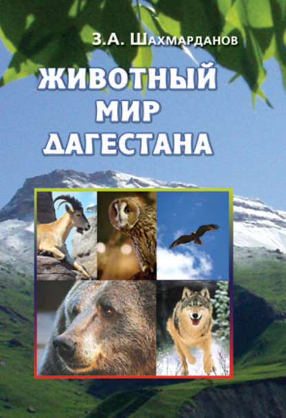 Животный мир Дагестана — Зияудин Шахмарданов