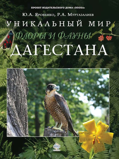 Уникальный мир флоры и фауны Дагестана — Юрий Яровенко