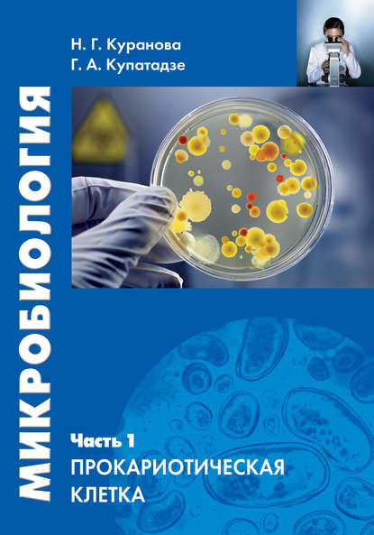 Микробиология. Часть 1. Прокариотическая клетка — Наталия Куранова