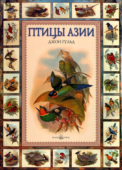 Птицы Азии — Евгений Коблик