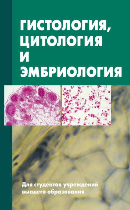 Гистология, цитология и эмбриология. Учебник — Сергей Зиматкин