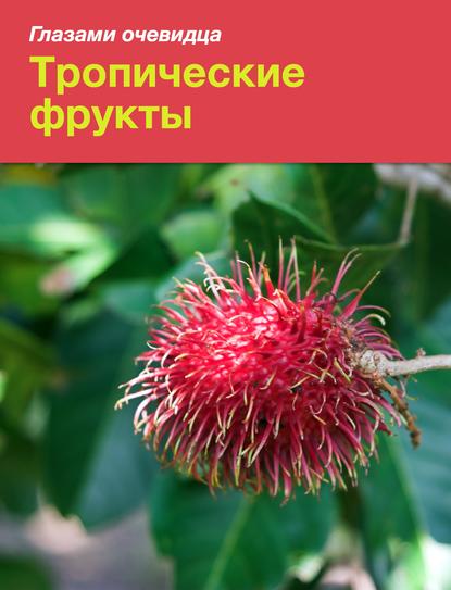 Тропические фрукты — Екатерина Пугачёва