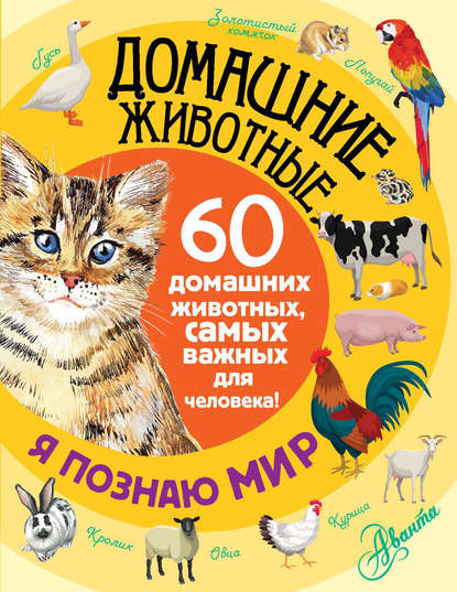Домашние животные. 60 домашних животных, самых важных для человека! — Е. Ю. Снегирева