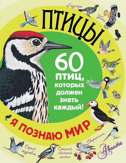 Птицы. 60 птиц, которых должен знать каждый — Группа авторов
