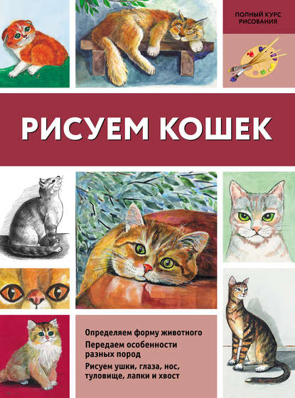Рисуем кошек — Нина Щербакова