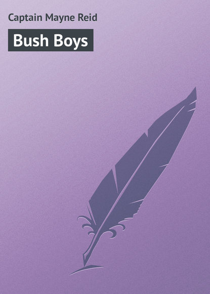 Bush Boys — Майн Рид