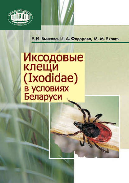 Иксодовые клещи (Ixodidae) в условиях Беларуси — Е. И. Бычкова
