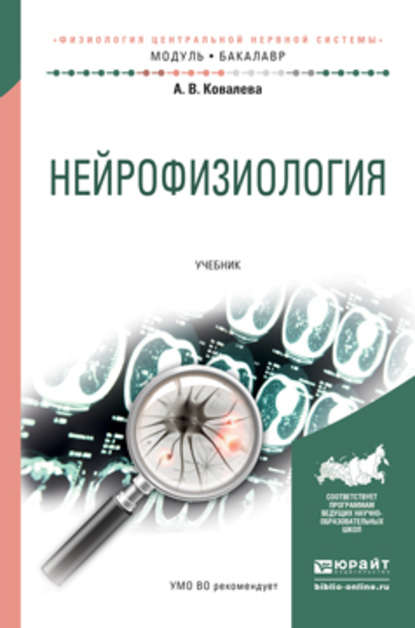Нейрофизиология. Учебник для академического бакалавриата — Анастасия Владимировна Ковалева