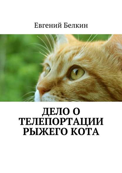 Дело о телепортации рыжего кота — Евгений Белкин
