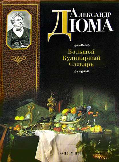 Большой кулинарный словарь — Александр Дюма