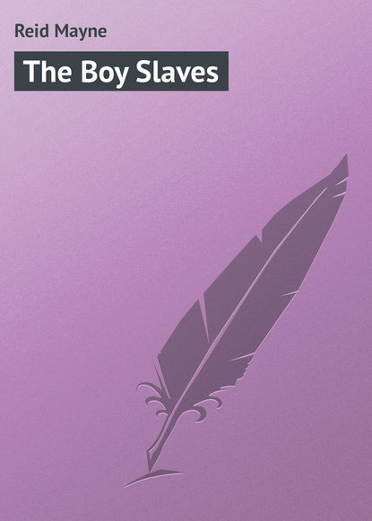The Boy Slaves — Майн Рид