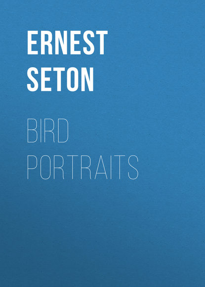 Bird Portraits — Эрнест Сетон-Томпсон