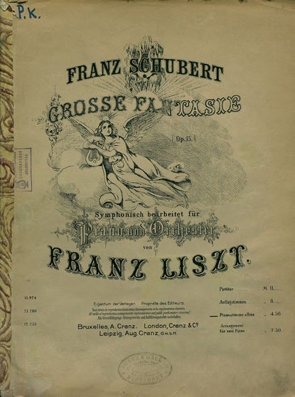 Grosse Fantasie, op. 15, fur Piano und Orchester v. F. Liszt simphonisch bearb. Pianostimme allein — Франц Петер Шуберт