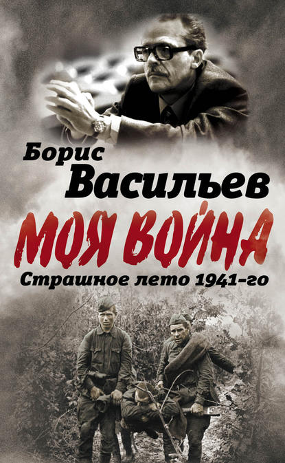 В окружении. Страшное лето 1941-го — Борис Васильев