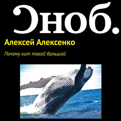 Почему кит такой большой — Алексей Алексенко