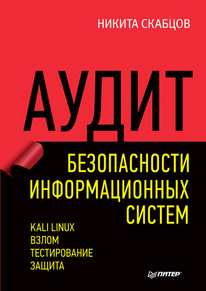 Аудит безопасности информационных систем (pdf+epub) — Никита Скабцов