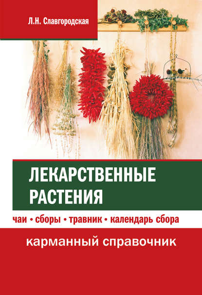 Лекарственные растения: чаи, сборы, травник, календарь сбора — Лариса Славгородская