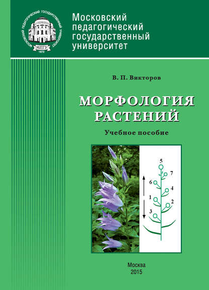 Морфология растений — В. П. Викторов