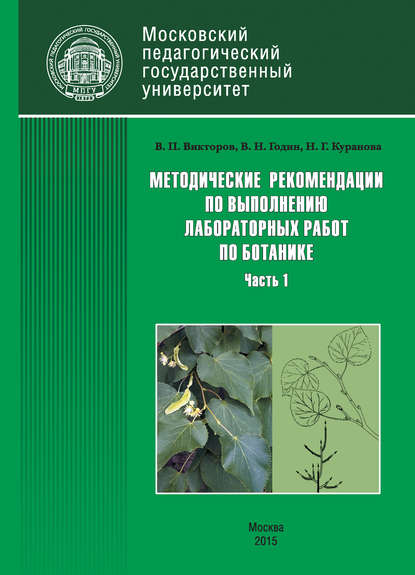 Методические рекомендации по выполнению лабораторных работ по ботанике. Часть 1 — Наталия Куранова