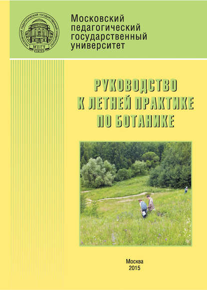 Руководство к летней практике по ботанике — Н. М. Ключникова