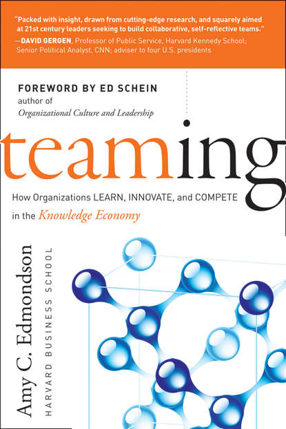 Teaming. How Organizations Learn, Innovate, and Compete in the Knowledge Economy — Эми Эдмондсон