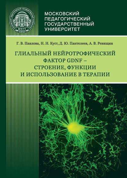 Глиальный нейротрофический фактор GDNF – строение, функции и использование в терапии — Г. В. Павлова