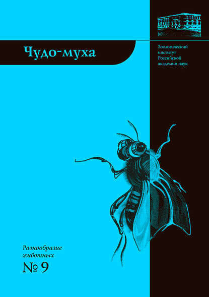 Чудо-муха — Елена Виноградова