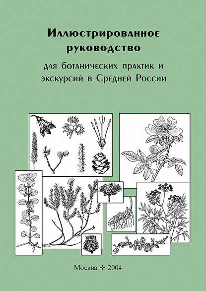 Иллюстрированное руководство для ботанических практик и экскурсий в Средней России — Владимир Скворцов