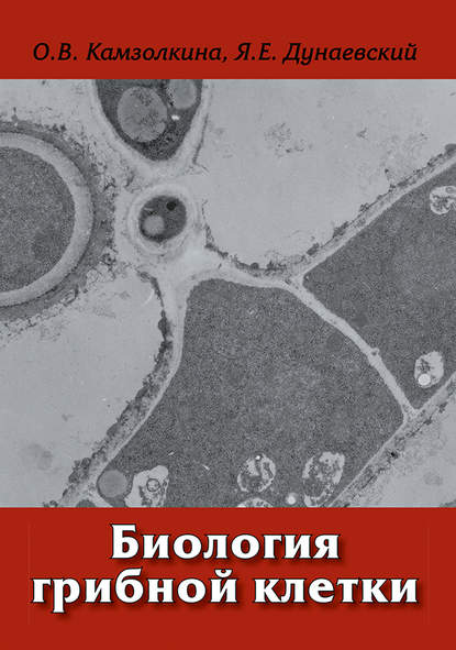 Биология грибной клетки — О. В. Камзолкина
