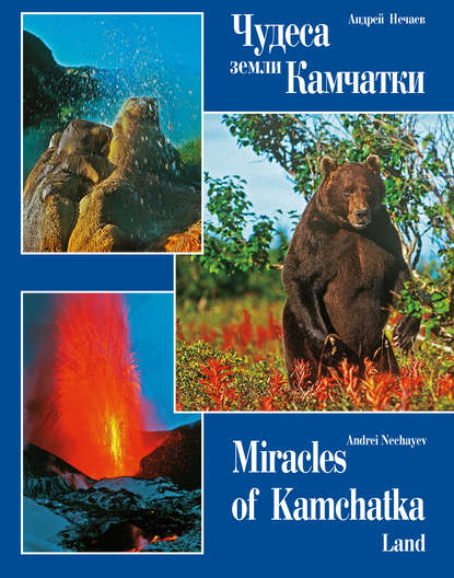 Чудеса земли Камчатки / Miracles of Kamchatka Land — Андрей Мартэнович Нечаев
