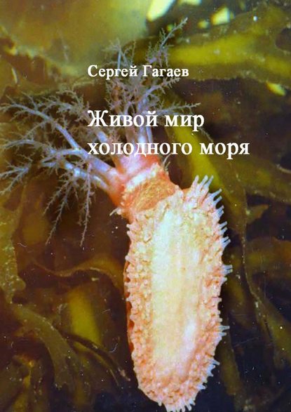 Живой мир холодного моря — Сергей Юрьевич Гагаев