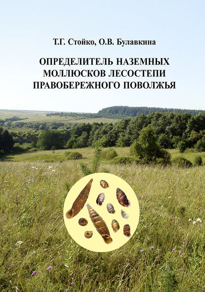 Определитель наземных моллюсков лесостепи Правобережного Поволжья — Т. Г. Стойко