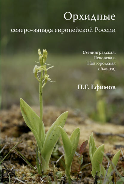 Орхидные северо-запада европейской России — Петр Ефимов