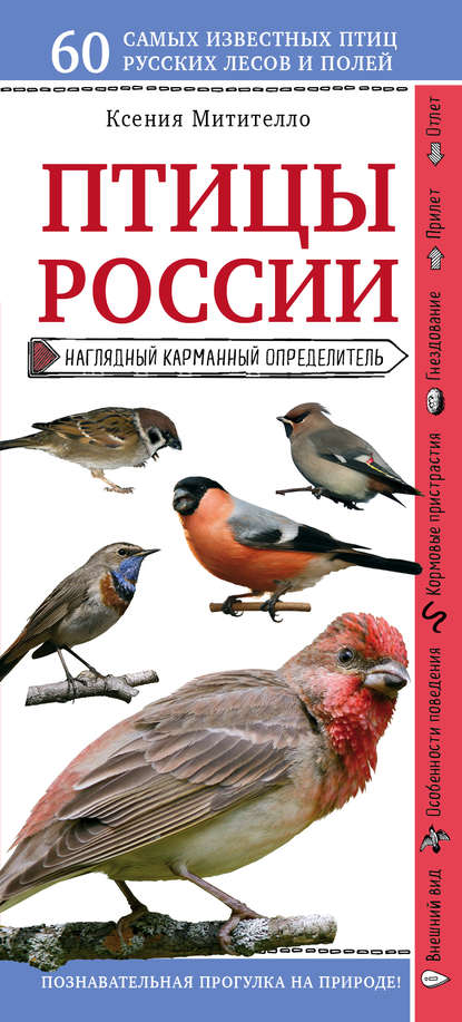 Птицы России. Наглядный карманный определитель — Ксения Митителло