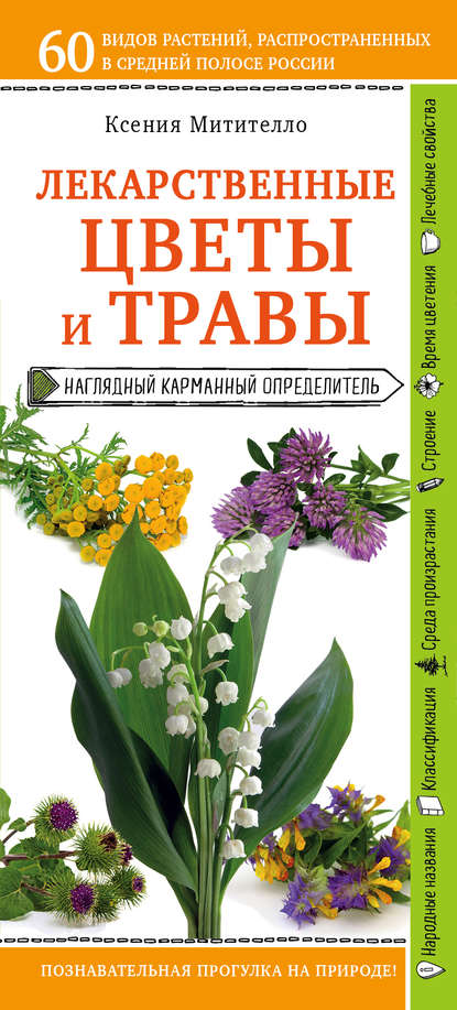 Лекарственные растения и травы. Определитель трав русских лесов и полей — Ксения Митителло