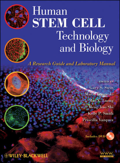 Human Stem Cell Technology and Biology — Группа авторов