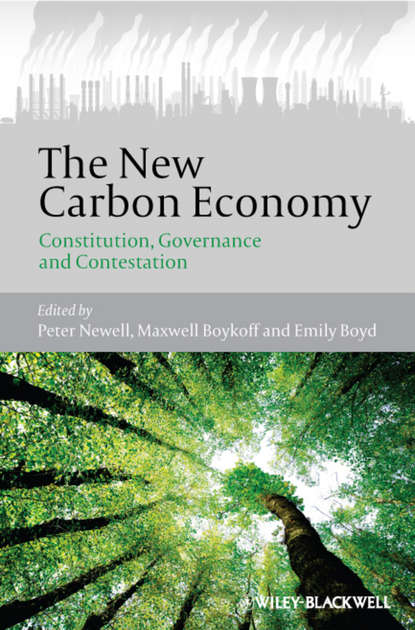 The New Carbon Economy — Группа авторов