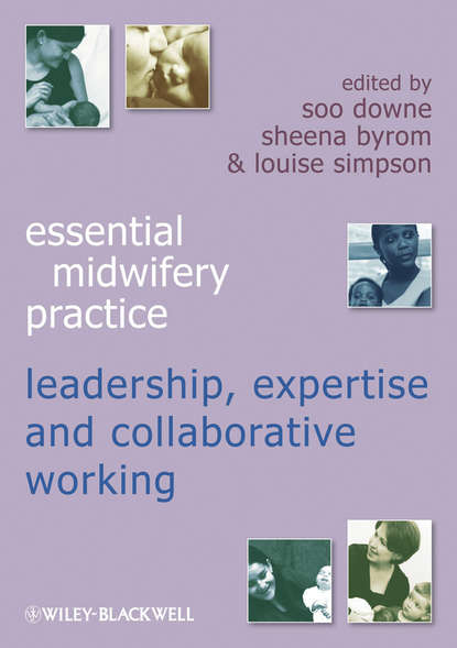 Expertise Leadership and Collaborative Working — Группа авторов