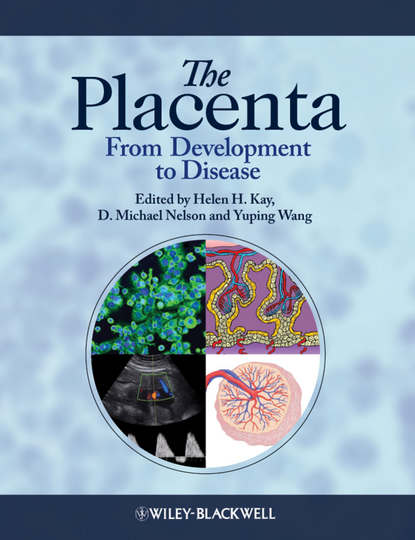 The Placenta — Группа авторов