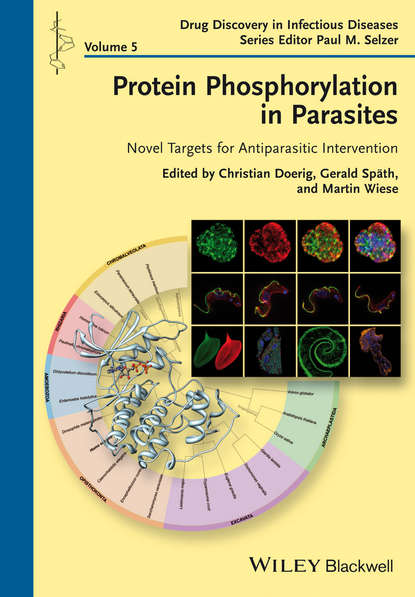 Protein Phosphorylation in Parasites — Группа авторов