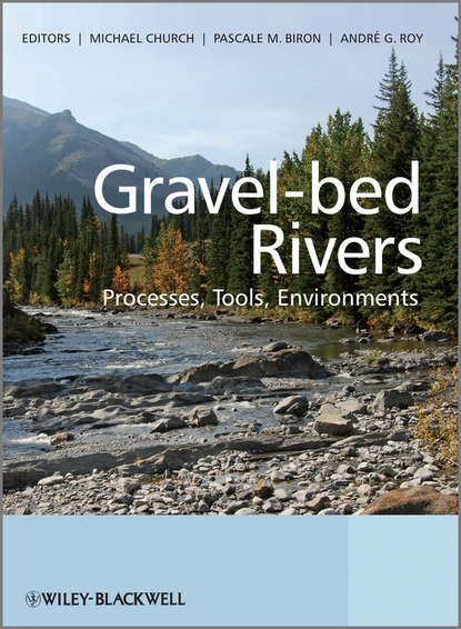 Gravel Bed Rivers — Группа авторов