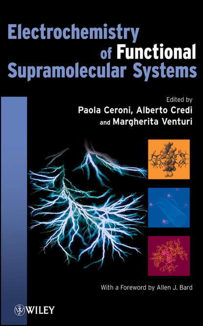 Electrochemistry of Functional Supramolecular Systems — Группа авторов