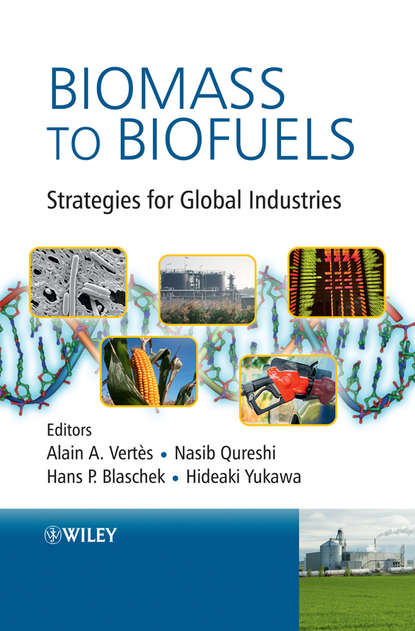 Biomass to Biofuels — Группа авторов