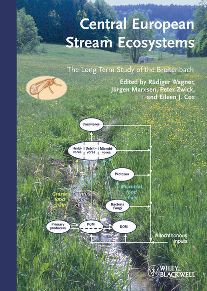 Central European Stream Ecosystems — Группа авторов