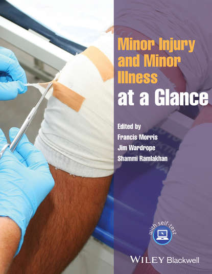 Minor Injury and Minor Illness at a Glance — Группа авторов