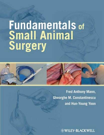 Fundamentals of Small Animal Surgery — Группа авторов