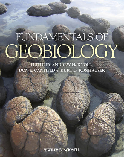 Fundamentals of Geobiology — Группа авторов