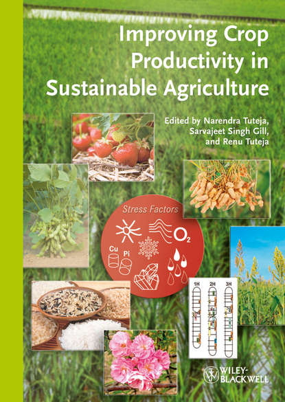 Improving Crop Productivity in Sustainable Agriculture — Группа авторов