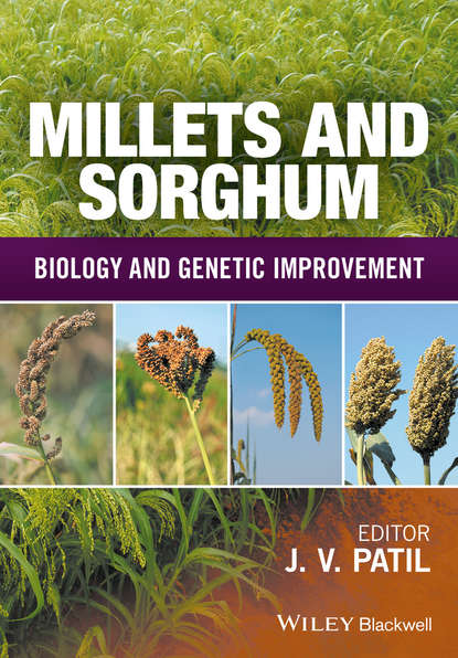 Millets and Sorghum — Группа авторов